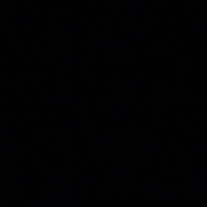 Meet your Posher, Ella